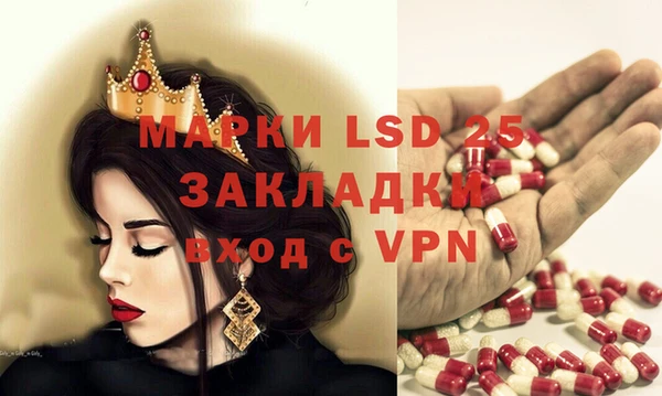 стафф Богданович